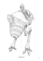 Stirring The Hornet's Nest At Het Thamsya